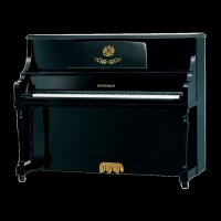 星海钢琴-海资曼系列121DJ 黑色家用钢琴 教学钢琴 立式钢琴