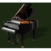 捷克佩卓夫之罗瑟系列RG162钢琴