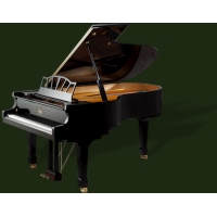 捷克佩卓夫之罗瑟系列RG200钢琴