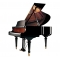 韦伯钢琴WEBER WTG175DW BP 实体店铺 品质保证
