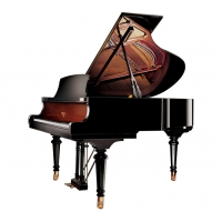 韦伯钢琴WEBER WTG185DW BP 实体店铺 品质保证