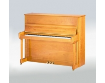 贝希斯坦钢琴Elegance124