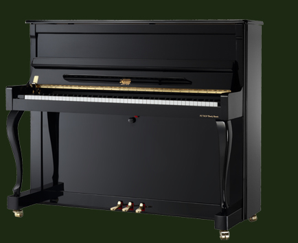 捷克佩卓夫之罗瑟系列RS120C钢琴