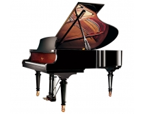 韦伯钢琴WEBER WTG208DW BP 实体店铺 品质保证
